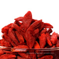 Dried Fruit Wolfberry Benefits Herb Blood Thinner